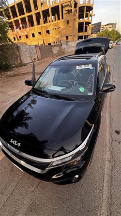 کیا سێلتۆس